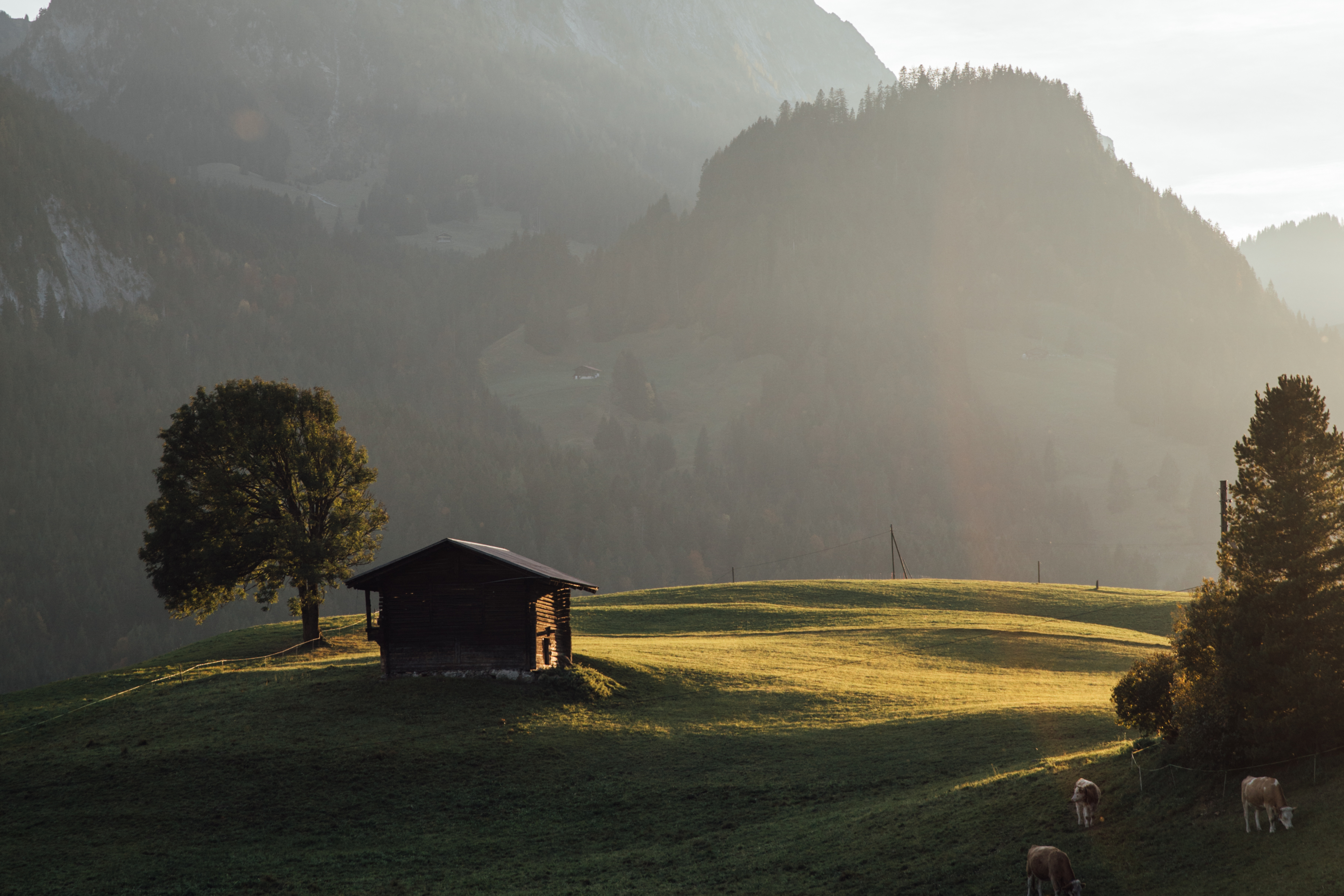 nkimmobilien gstaad - Rubli bei Sonnenuntergang