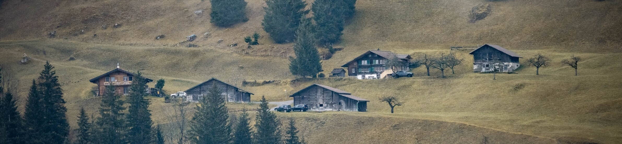 GRIWA GROUP | Regional Chalets in einem Bergdorf