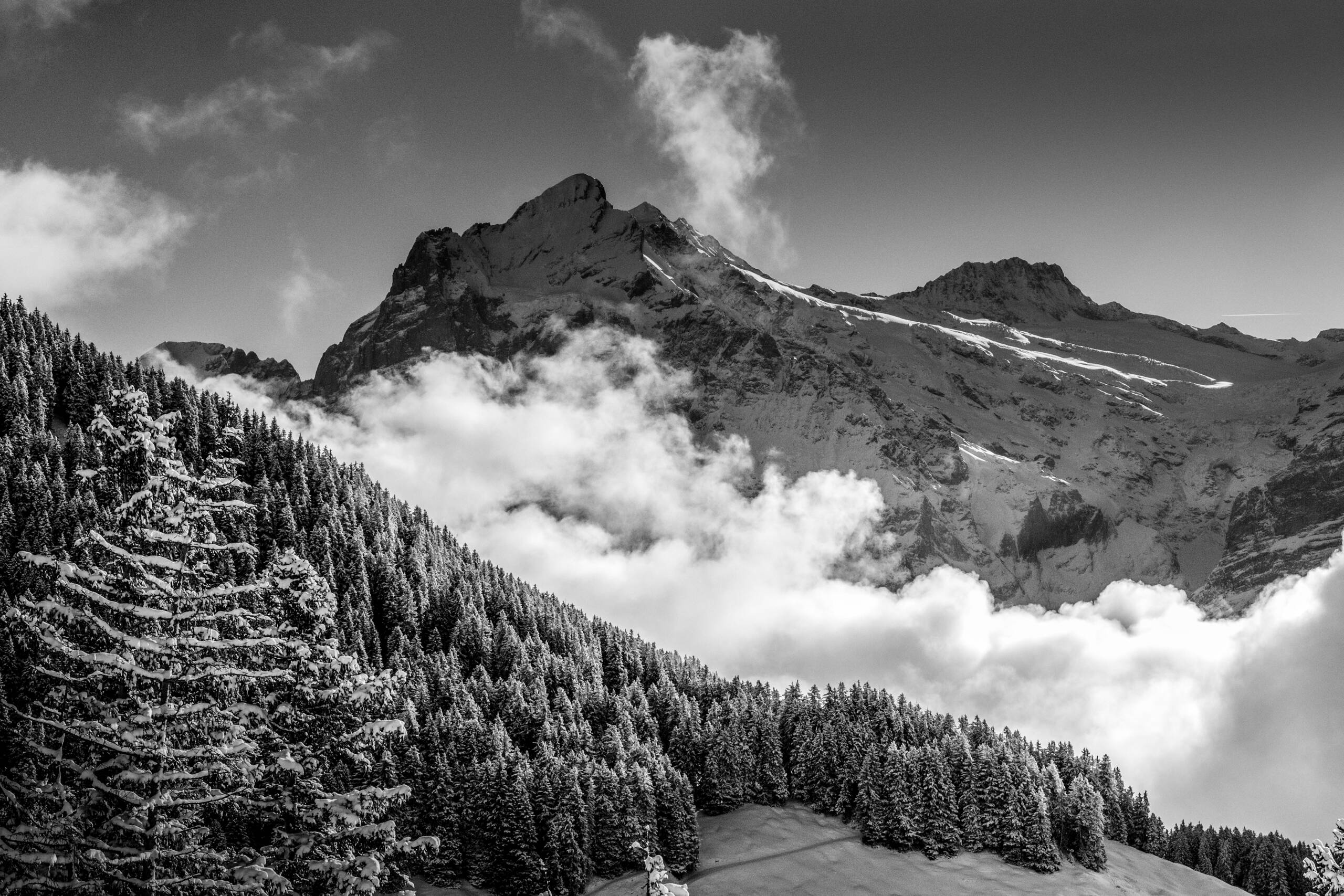 Wetterhorn in black and whiite